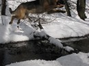 Уляна Лісна фотография #22 (источник - https://vk.com/id75306746)