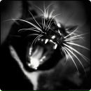 Фотография Митрофанова Михаила