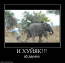 Фотография Мильшина Алексея