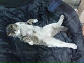 Фотография Туякина Сергея