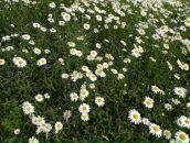 Фотография Идуковой Любови