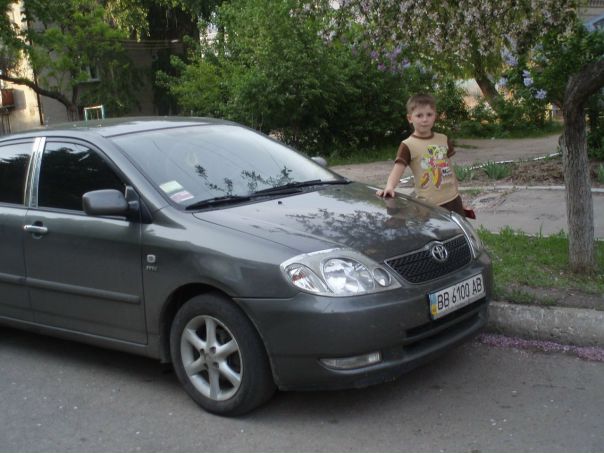 Вадим@@@ultra@@@ Гриб фото №16