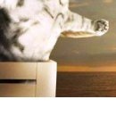 Марінка Баштан фотография #20 (источник - https://vk.com/id70088006)