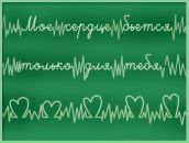 Дмитрий Полежаев фотография #40 (источник - https://vk.com/id763003)