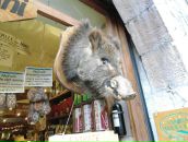 Dmitry Davidenko фотография #41 (источник - https://vk.com/id10142)