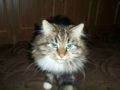 Фотография Жиронкиной Марии