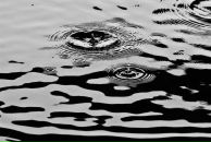 Фотография Ботвиной Нинули