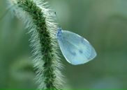 Фотография Лазаревой Ольги