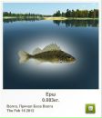 Андрій Середюк фотография #38 (источник - https://vk.com/id155371330)