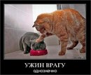 Віталій Юхименко фотография #48 (источник - https://vk.com/id115465911)