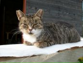 Фотография Устинова Виталия