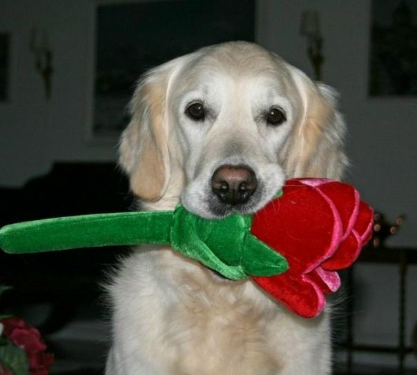 Yu Mayer фото №19