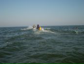 Дініс Гусєв фотография #35 (источник - https://vk.com/id85127984)