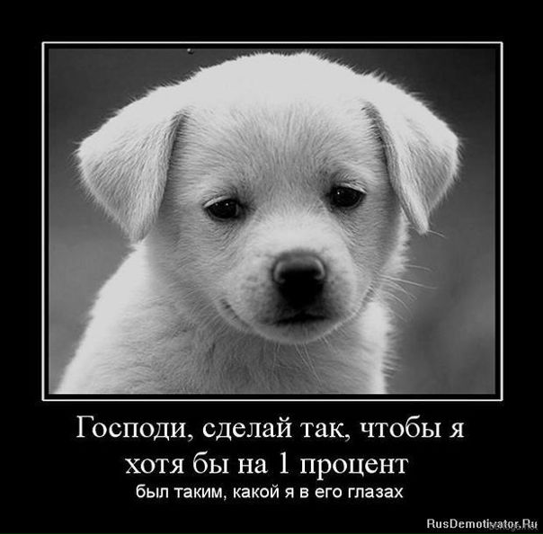 Дмитрий Паюк фото №3