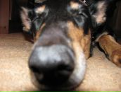 Фотография Трушиной Екатерины