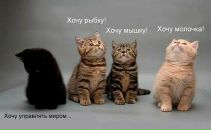 Фотография Мезенцевой Екатерины