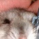 Олег Вівчарик фотография #18 (источник - https://vk.com/id40543935)