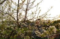 Фотография Individual Twisted