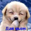 Настічка Брик фотография #1