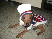 Фотография Сидлецкой Оксаны