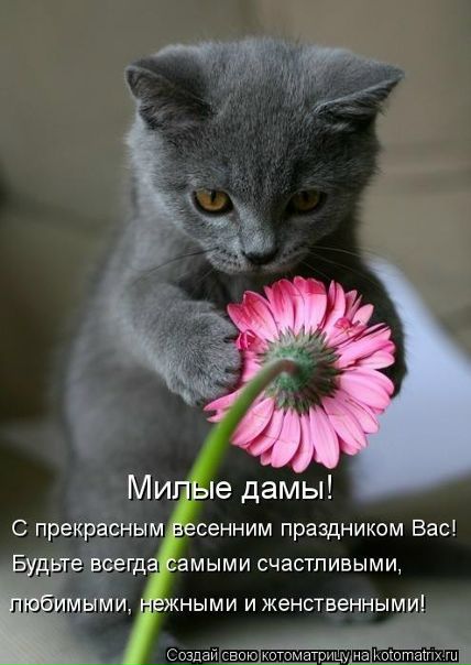 №10, Александр Касьянов, 49 лет, Санкт-Петербург №10, Александр Касьянов, 49 лет, Санкт-Петербург
