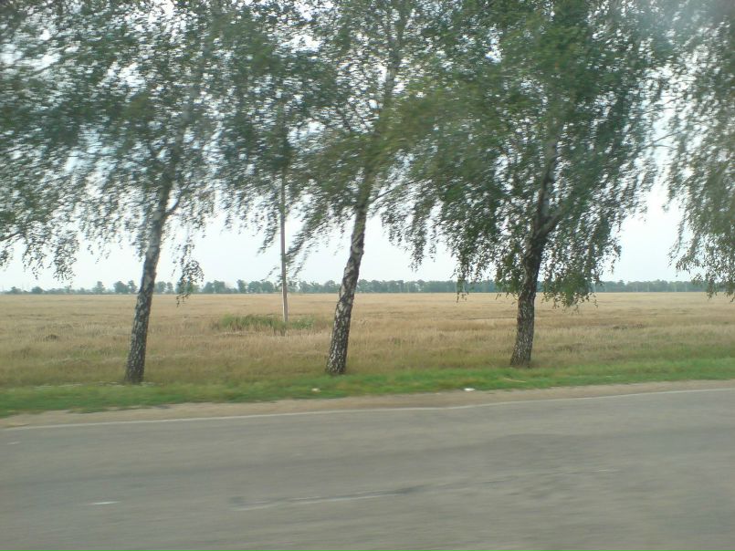 Сергей Иванов фото №46