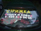 Фотография Александрова Алексея