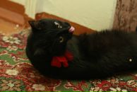 Фотография Жуковой Натальи