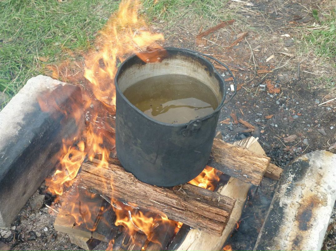 Дмитрий Торкель фотография #8