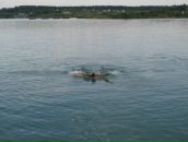 Фотография Владимировича Сергея