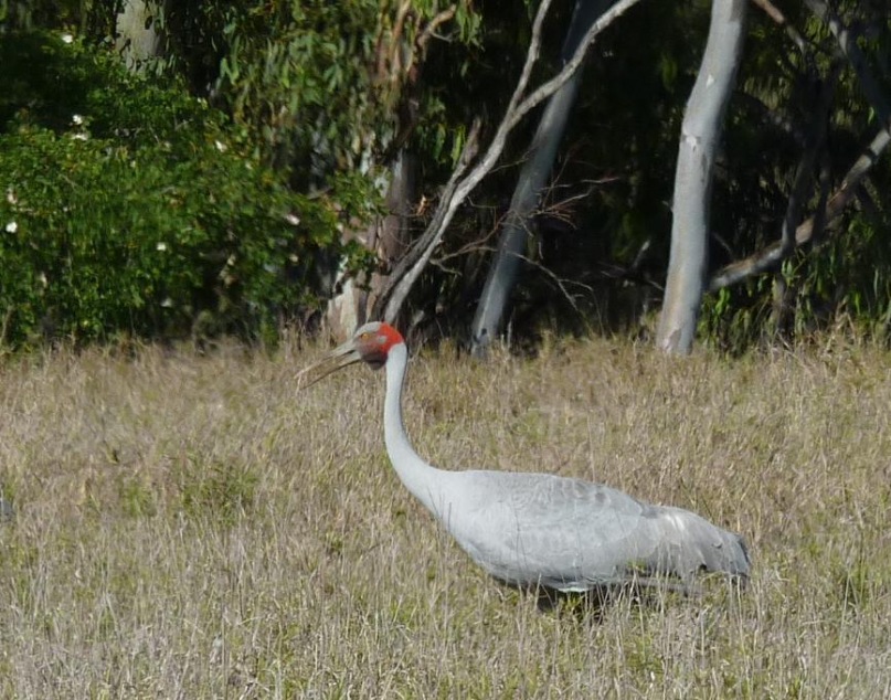 Елизавета Матвеенко фотография #23