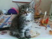 Фотография Захаровой Анастасии