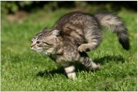 Фотография Галишина Тимура