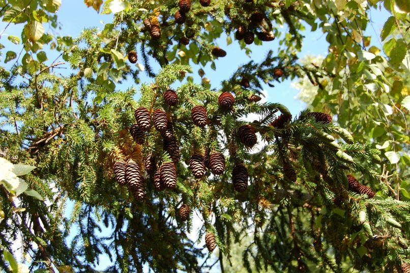 Татьяна Степанова фотография #3