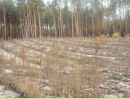 Віталій Губар фотография #38 (источник - https://vk.com/id103940530)