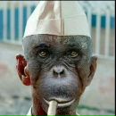 Фотография Новикова Алексея