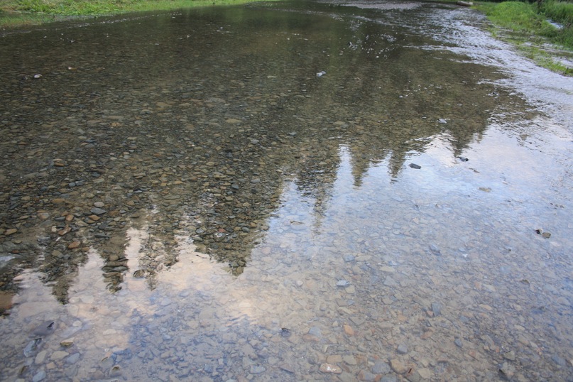 Лека *** фотография #47