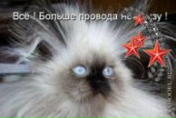 Фотография Немчиновой Ирины