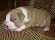 Фотография Потаповой Ларисы