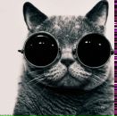 Фотография Шаповалова Владимира