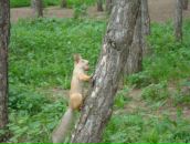 Фотография Сусловой Ирины