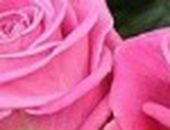 Ірина Смачило фотография #34 (источник - https://vk.com/id133972009)