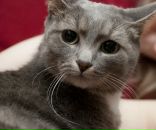 Фотография Гесселя Сержа