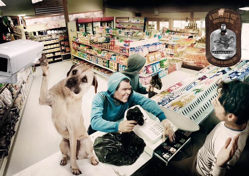 Илья Алеев фотография #35