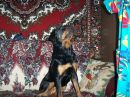 Фотография Колгушкиной Татьяны
