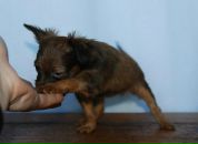 Фотография Филипповой Светланы