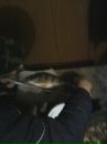 Максім Бойко фотография #5 (источник - https://vk.com/id77741783)