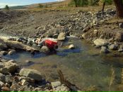 Миша Мишин фотография #43 (источник - https://vk.com/id7496491)