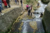 Софья Романенко фотография #47 (источник - https://vk.com/id10241677)