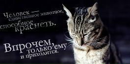 Софья Романенко фотография #30 (источник - https://vk.com/id10241677)